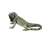 Design Toscano Iggy l'Iguane Statue de Jardin, 56 cm, polyrésine, palette complète de couleur