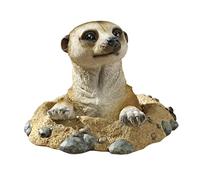 Design Toscano QL57081 Statues de Kalahari Meerkat Hors du puits Multicolore 21,5 x 25,5 x 16,5 cm