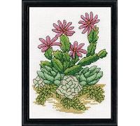 Design Works Counted Cross Stitch Kit 5"X7" Cactus (14 pièces)