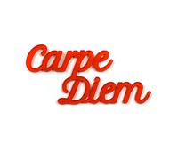 Designmanufaktur Berlin WTD Sticker Mural 3D en Acrylique Motif Carpe Diem, Résine Acrylique, S