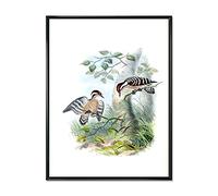 DesignQ Vintage Birds In The Wild I Impression sur toile encadrée traditionnelle