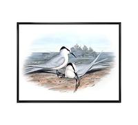 DesignQ Vintage Birds In The Wild IX Impression sur toile encadrée traditionnelle
