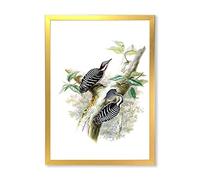 DesignQ Vintage Birds In The Wild V Décoration murale traditionnelle encadrée