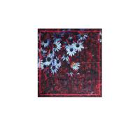 Desigual Foulard rouge / blanc, Taille One Size