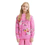 Desigual JERS_Alaska 3067 Candy Pink Pull, Red, 12-Nov Filles