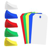 Desikixudy Lot de 500 étiquettes d'expédition en plastique vierges - 4 3/4 x 2 3/8 - Étiquettes d'expédition vides - Étiquettes à suspendre étanches