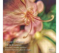 Desire In Spring: Air & Hammers [Cd]