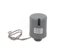 Desiumite Manette automatique de pression d'eau pour eau de jardin - Options de filetage 3/8" et 1/4", 220 V 10 A, ABS + métal, (3/8 1,5-2,2 kg)