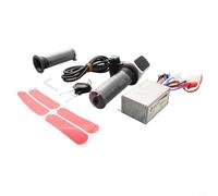 Desiumite Poignée d'accélérateur brossée 24-48 V 250 W-1000 W pour scooter électrique et vélo électrique, compatible avec moteur brossé, noir + argent (24 V 250 W)