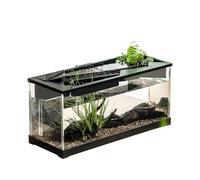 Desktop Aquarium - Acrylic Fish Tank | 31.5cm Clear Water Garden