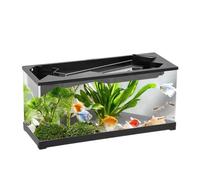 Desktop Aquarium - Acrylic Fish Tank | 31.5cm Clear Water Garden | Top Hydroponic Planter, Built-In Filter, USB Pump Included, High Transparency, For Small Fish & Plants, Home Office Desk