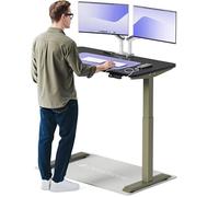 Desktronic Bureau Assis-Debout Électrique 120x60cm- Hauteur Réglable - Commande Tactile avec Mémoires - Ports USB - Bois Européen - Table Réglable