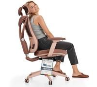 Desktronic Chaise de Bureau Ergonomique réglable avec Support Lombaire - Aucune Douleur au Dos - D'ordinateur réglable en Hauteur et protégeant Le Dos - Rosa