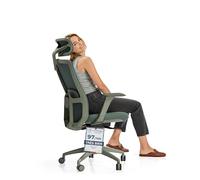 Desktronic Chaise de Bureau Ergonomique réglable Chaise de Bureau avec Appui-tête, accoudoirs, Support Lombaire, réglages de la Hauteur - Maille Respirante