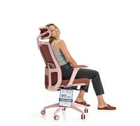 Desktronic Chaise de Bureau Ergonomique réglable Chaise de Bureau avec Appui-tête, accoudoirs, Support Lombaire, réglages de la Hauteur - Maille Respirante
