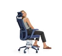 Desktronic Chaise de Bureau Ergonomique réglable Chaise de Bureau avec Appui-tête, accoudoirs, Support Lombaire, réglages de la Hauteur - Maille Respirante