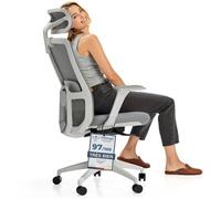 Desktronic Chaise de Bureau Ergonomique réglable SitOne, 6 points de réglage , 4D Accoudoir , Gris