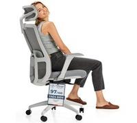 Desktronic Chaise de Bureau Ergonomique réglable SitOne, 6 points de réglage , 4D Accoudoir , Gris Gris G