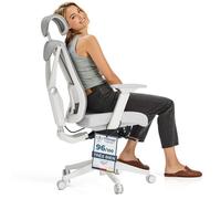Desktronic Chaise de Bureau Ergonomique réglable SitPro, 10 points de réglage , 3D Accoudoir , Gris