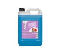 Desmabel Gel Douche Familial Mangue 5L - pH 5.5 Savon Liquide Corps Doux - Recharge Grand Format pour Distributeur - Tous Types de Peau - Sans parabènes
