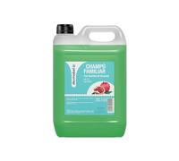 DESMABEL Shampoing Familial Grenade 5L- pH 5.5 Doux Hydratant Sans Silicone