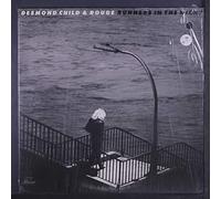 DESMOND CHILD & ROUGE - runners in the night LP