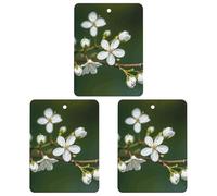 Désodorisant à suspendre au miroir de voiture - Plante blanche naturelle - Brindille verte - Feuille d'aromathérapie pour voiture - Tablettes d'aromathérapie - Parfum de voiture