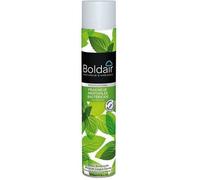 BolDair Désodorisant bactéricide Fraîcheur mentholée – 500 mL