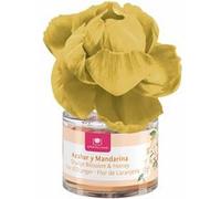 Désodorisant Cristalinas Fleur Mandarine Fleur d'oranger 40 ml