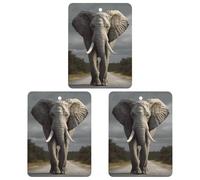 Désodorisant de voiture 3D éléphant à suspendre comprimés d'aromathérapie pour homme et femme 3 pièces carrées