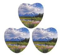 Désodorisant de voiture à suspendre au parc national de Grand Teton - Cartes parfumées - Tablettes d'aromathérapie - Miroir intérieur - Pendentif pour armoire de salle de bain - Forme d'amour - Noir