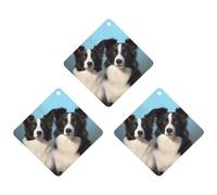 Désodorisant de voiture à suspendre Border Collie - Cartes parfumées - Tablettes d'aromathérapie - Miroir intérieur - Pendentif pour armoire de salle de bain - Losange noir