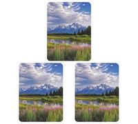 Désodorisant de voiture à suspendre - Parc national de Grand Teton - Cartes parfumées - Tablettes d'aromathérapie de voiture - Miroir intérieur - Pendentif pour armoire de salle de bain - Gris