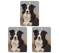Désodorisant de voiture Border Collie à suspendre comprimés d'aromathérapie pour homme et femme 3 pièces carrées