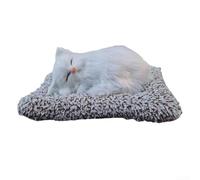 Désodorisant de voiture en paquets de charbon de bois avec coussinet antidérapant en tissu pour absorption et décoration (chat blanc)