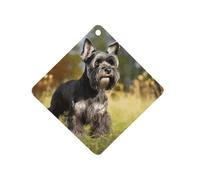Désodorisant de voiture Schnauzer Chien sur l'herbe à suspendre, tablettes d'aromathérapie parfumées longue durée, cartes parfumées pour véhicules, chambre à coucher, armoire, style noir