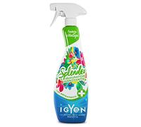 Désodorisant Désinfectant - Fraîcheur de Montagne - 750 ml