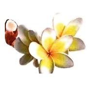 DÉSODORISANT Destructeur d'odeur gros débit MONOÏ 500 ml spray sec