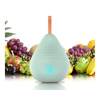 Désodorisant Frigo - Déshumidificateur et Désodorisant Portable à l'ozone pour Réfrigérateur, Désodorisant Placard, Desodorisant Voiture, Désodorisant Chaussure