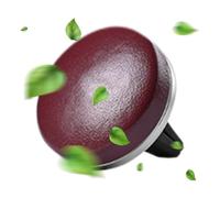 Désodorisant pour voiture à clip - Désodorisant en peau d'agneau - Avec 3 tampons de recharge parfumés - Pour femmes, hommes, conducteurs, camions, SUV et camping-cars