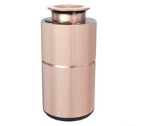 Désodorisant silencieux pour voiture 20 ml Nébuliseur sans eau (Or) | Technologie sans eau, dispersion pure du parfum, pas de dommages causés par la chaleur, s'adapte aux porte-gobelets
