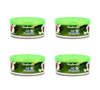 Désodorisant solide - 4 parfums, salle de bain et hôtel - Désodorisant parfumé éliminant les odeurs (parfum pomme 4 pièces)
