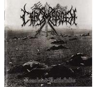 Desolated Battlefields by CARCHAROTH