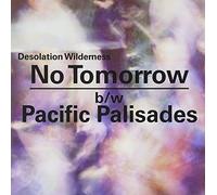 Desolation Wilderness – 7-No Tomorrow – Vinyle – Import – Funko