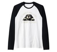 Désolé, Je suis en Retard, J'Ai vu Un Chien Manche Raglan