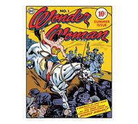 Desperate Enterprises Wonder Woman Couverture n1 en tain Dcoration murale en mtal vintage nostalgique Fabriqu aux tats-Unis