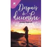 Después De Diciembre / After December