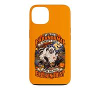 Dessin animé Effrayant fantôme Raton Laveur Poubelle Panda Coque pour iPhone 13