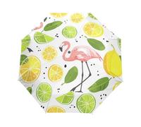 Dessin Animé Tranches De Citron Oiseau Parapluie Pliant Enfant Garçons Filles Automatique Protection UV Parapluies Coupe-Vent pour Voyager