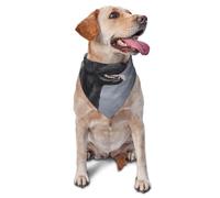 Dessin de Chien Labrador, Bandanas pour Chien, Chat, Chiot, écharpes, Mouchoir Lavable pour Animaux de Compagnie
